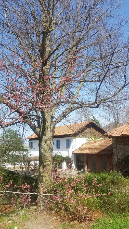 B&B Il Gatto Nero Castelveccana Ngoại thất bức ảnh