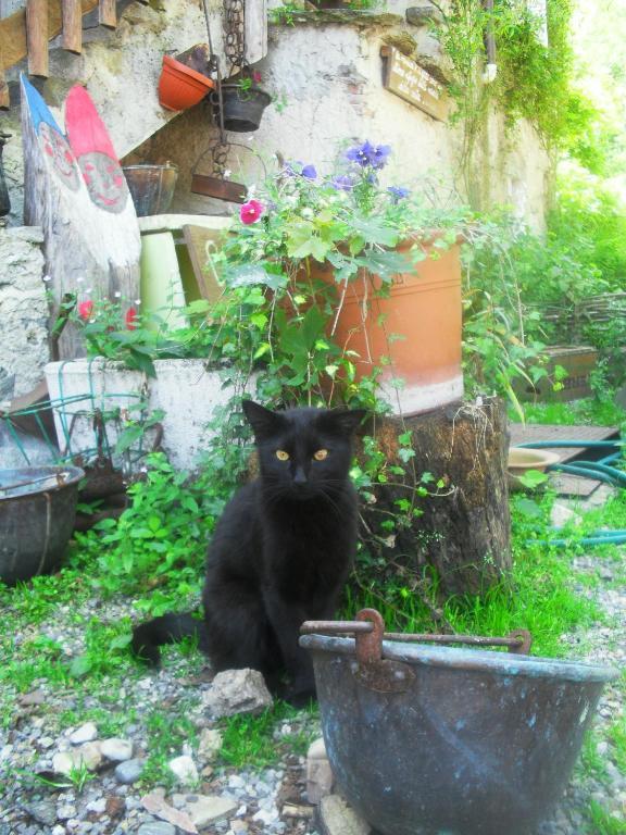 B&B Il Gatto Nero Castelveccana Ngoại thất bức ảnh