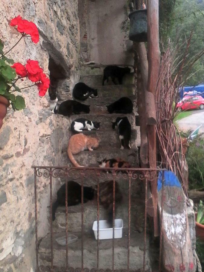 B&B Il Gatto Nero Castelveccana Ngoại thất bức ảnh