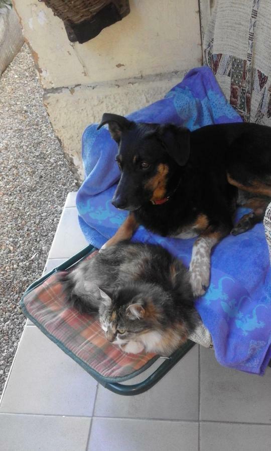 B&B Il Gatto Nero Castelveccana Ngoại thất bức ảnh